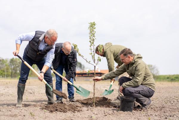 Der plants træer: Bruno Jerup (EL) fra Regionsrådet i Region Sjælland og Jesper Blomberg (M) fra kommunalbestyrelsen i Guldborgsund Kommune plantede det første træ sammen med Klimaskovfonden. Signe Goldmann