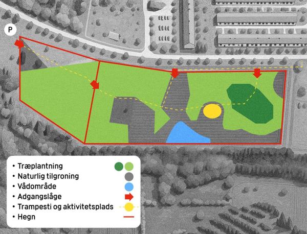 Skovholmene i Køge - DIF 2