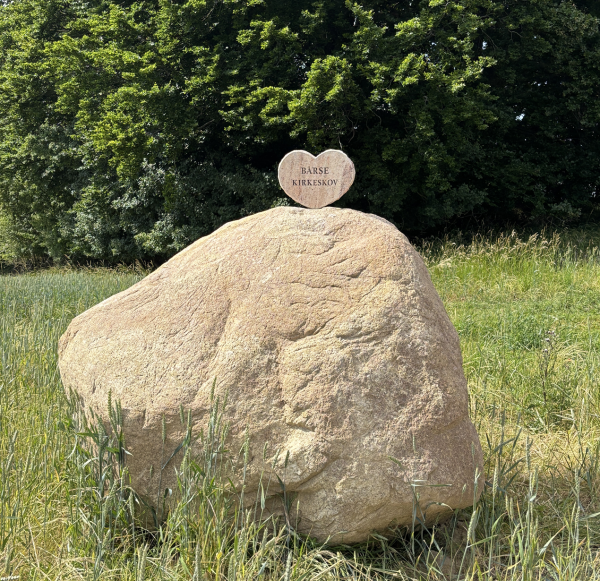 foto af sten i bårse