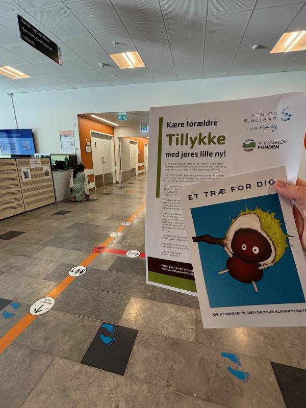 foto af klimaskovbevis til børn 