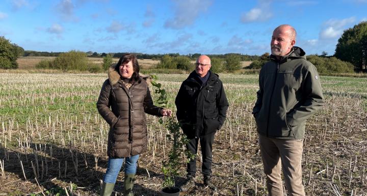 tre politikere med et bøgetræ der skal plantes