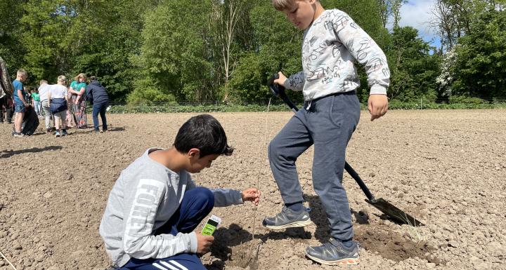 skolebørn planter træer på mark