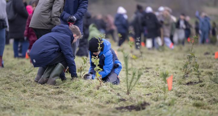 foto af børn der planter træer