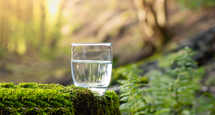 billede af et glas vand i en skov 