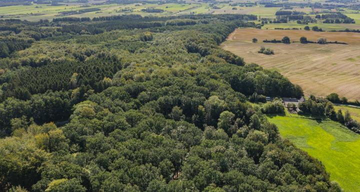 luftfoto af skovområde