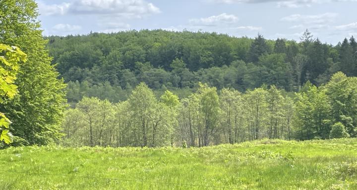 foto af landskab 