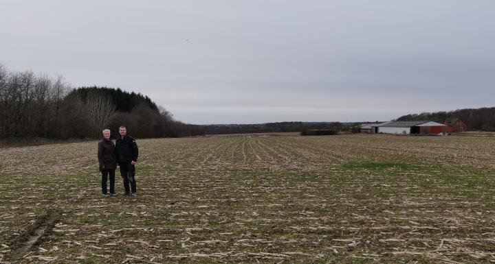 lodsejerne på marken