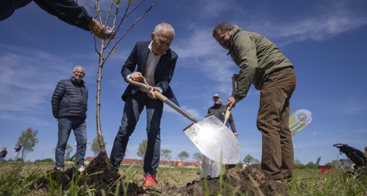 foto af to mænd der planter et træ 