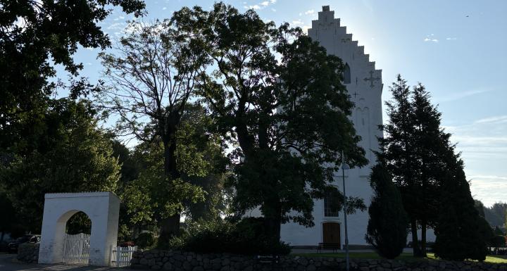 Kirke og træer