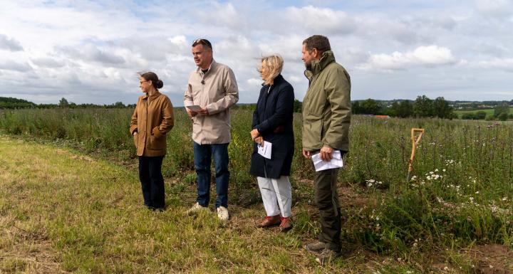 foto af nyplantet skov på mark 