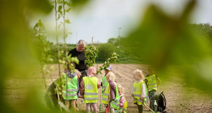 foto af børn der planter træ 